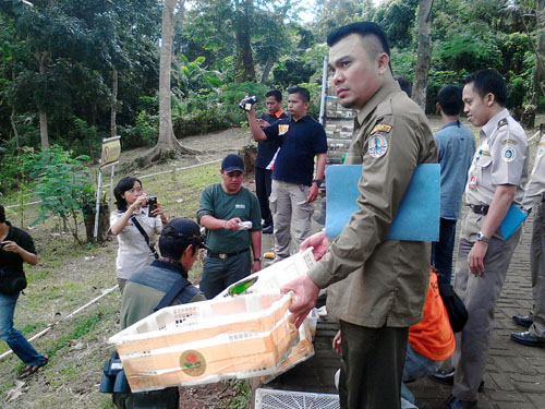 213 Confiscated Birds  in Merak Port Released in Rawa Danau Nature Reserve (March 1, 2016)